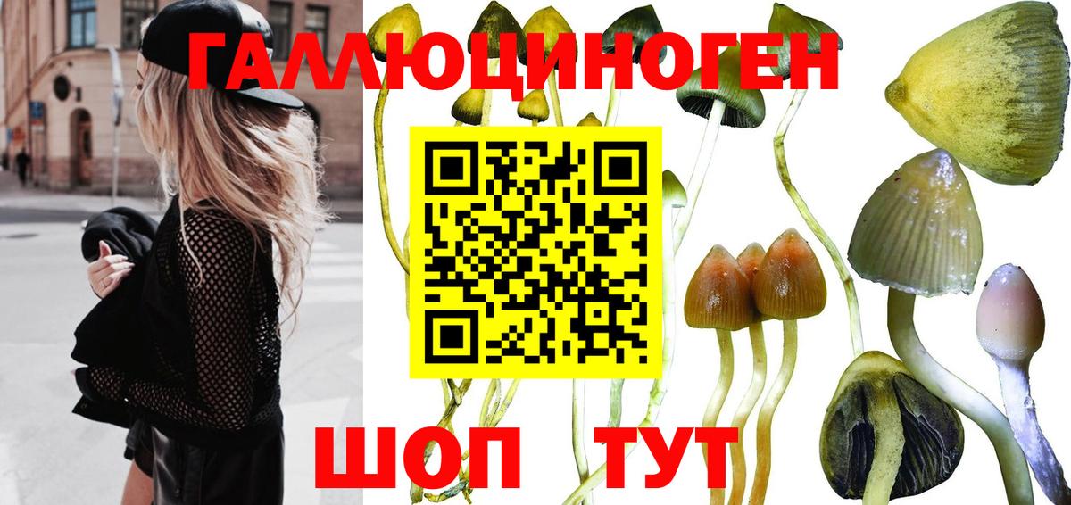 где купить наркотик  Галлюциногенные грибы мухоморы  Вход с VPN  Десногорск 